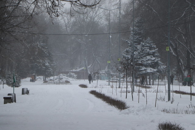 В Одессе объявили штормовое предупреждение на 30 января