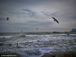 Как выглядит море в Одессе в выходной день: волны и чайки (ФОТО, ВИДЕО)