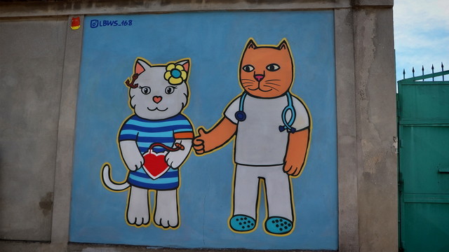 В Одессе нарисовали котиков: они помогают спасать жизни (ФОТО, ВИДЕО)