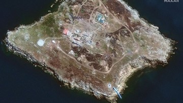 Стали известны потери русских при бегстве с острова Змеиный (ВИДЕО)