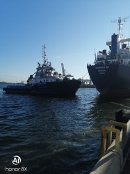 11 торгівельних суден виходять в море з Одеської області 23 вересня (ВІДЕО)