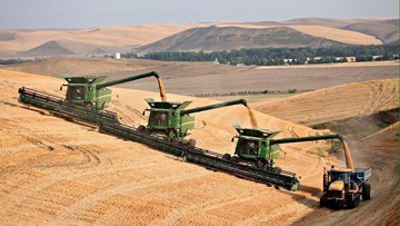 Чем обернется прекращение "зерновой сделки"?