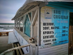 Коти і море: перший зимовий шторм в Одесі (ФОТО, ВІДЕО)