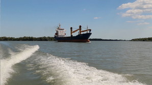 Дунайські порти Одеської області майже втричі збільшили перевалку вантажів