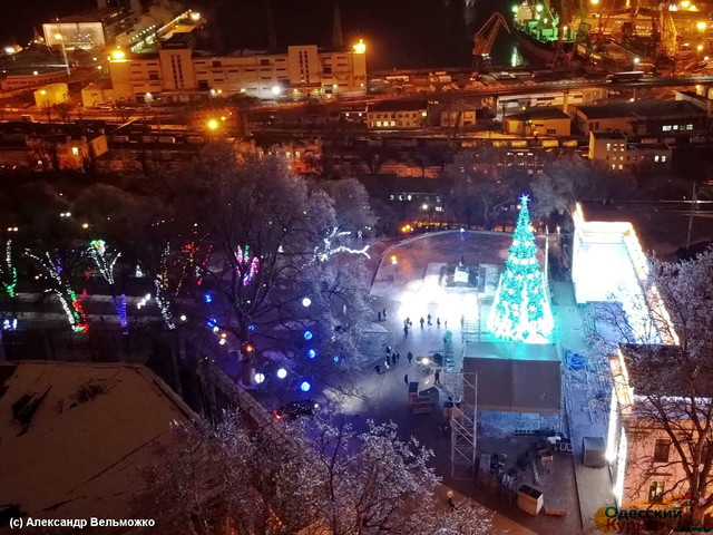 В Одеській області не буде новорічних ялинок