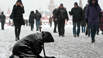 Время... грызть кору...