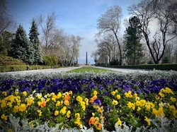 В Одесі офіційно відзначили 79 річницю визволення міста від німецьких окупантів