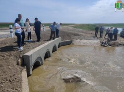На півдні Одеської області пустили дунайську воду в озера