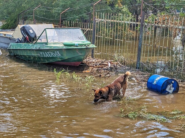 Користування водою в Одеській, Миколаївській та Херсонській областях може бути небезпечним