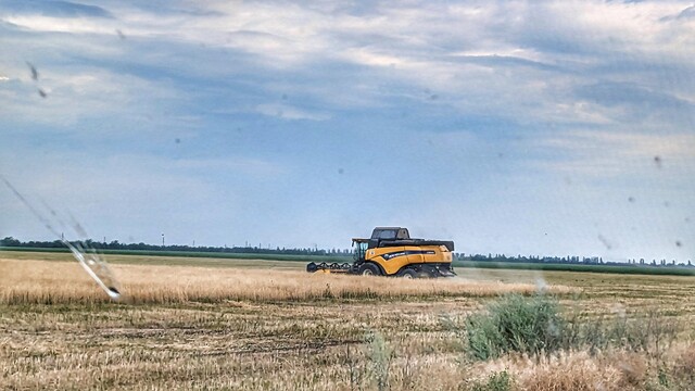 Одеська область першою в Україні завершила збір врожаю