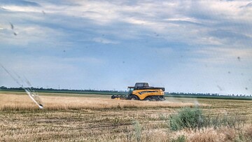 Одеська область першою в Україні завершила збір врожаю