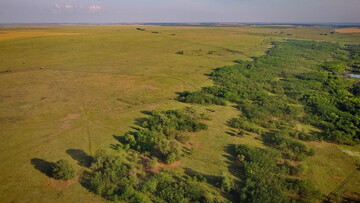 На півдні Одеської області створили великий національний парк