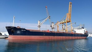 Український агрохолдинг придбав два судна, які вже задіяні у судноплавстві до портів Одеської області