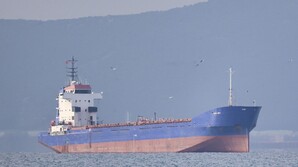 В порту Одеської області затримали судно, що заходило до окупованого Криму