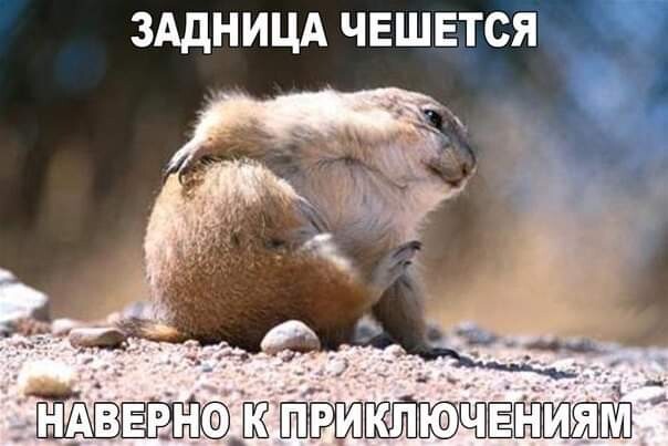 Не ищите приключений на собственную задницу, мистер Орбан!