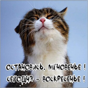 Затишье, похоже, закончилось и началась буря...