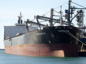 10 арештованих в Україні російських суден передали в управління