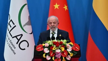 Дон Луїс із Бразилії, де багато диких мавп...