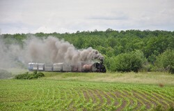 На Гайворонській вузькоколійці Одеської залізниці провели незвичний ретро-тур