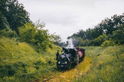 На Гайворонській вузькоколійці Одеської залізниці провели незвичний ретро-тур