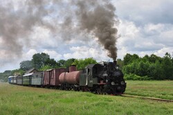 На Гайворонській вузькоколійці Одеської залізниці провели незвичний ретро-тур