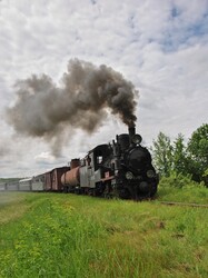 На Гайворонській вузькоколійці Одеської залізниці провели незвичний ретро-тур