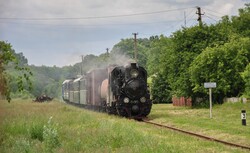 На Гайворонській вузькоколійці Одеської залізниці провели незвичний ретро-тур