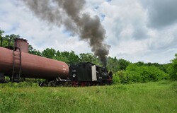 На Гайворонській вузькоколійці Одеської залізниці провели незвичний ретро-тур