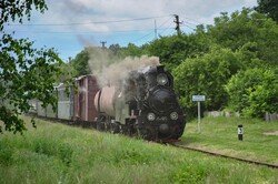 На Гайворонській вузькоколійці Одеської залізниці провели незвичний ретро-тур