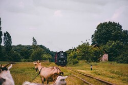 На Гайворонській вузькоколійці Одеської залізниці провели незвичний ретро-тур