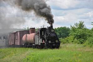На Гайворонській вузькоколійці Одеської залізниці провели незвичний ретро-тур
