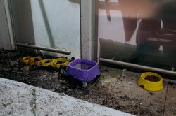 Понад 50 житлових будинків пошкоджено в Одесі