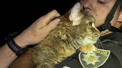 Одеса вночі була під масованим "шахедним" ударом