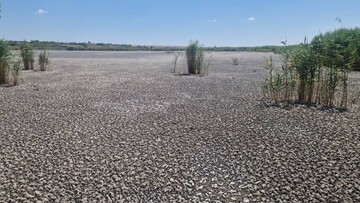 В Одеській області пересихає ще одне придунайське озеро
