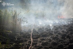 В Одесі масштабно горять поля зрошення