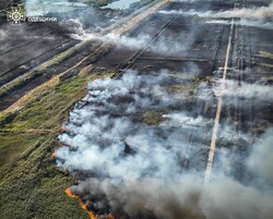 В Одесі масштабно горять поля зрошення