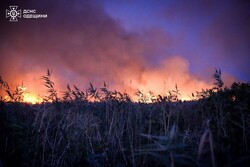 В Одесі масштабно горять поля зрошення