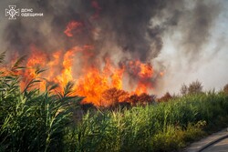 В Одесі масштабно горять поля зрошення