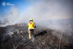 В Одесі масштабно горять поля зрошення