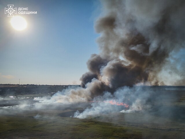 В Одесі масштабно горять поля зрошення