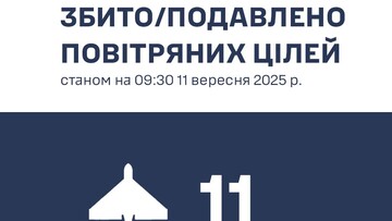 Над Одеською і Миколаївською областями збито 11 "шахедів"