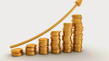 Трейдинг для початківців: основи професії