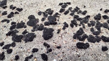 В Одеській області знову виявили мазут з російських танкерів