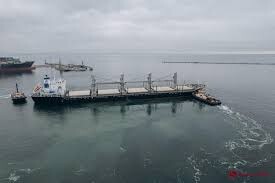 Україна відправила 300 тисяч тон зерна як гуманітарної допомоги