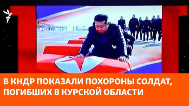 Собакам собачья смерть"