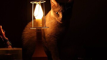 В Одесі і області діють стабілізаційні відключення електроенергії