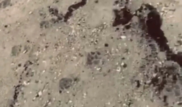 На пляжах Одеської області знову виявили російський мазут