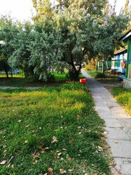 Держава продала занедбану базу відпочинку в Одеській області за 22 мільйони