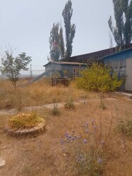 Держава продала занедбану базу відпочинку в Одеській області за 22 мільйони