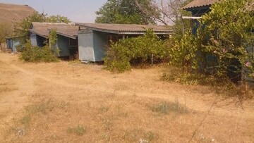 Держава продала занедбану базу відпочинку в Одеській області за 22 мільйони